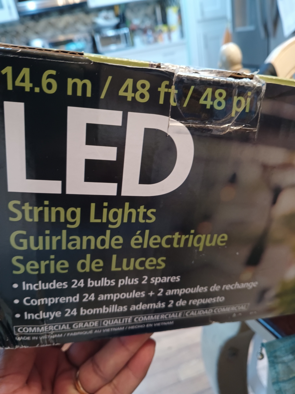 FEIT LED String Lights Black and Lime Green Packaging